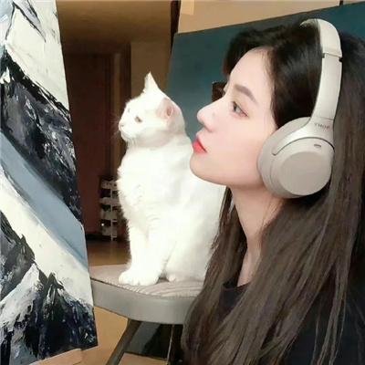 捕狼行动